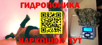 шишки Обь