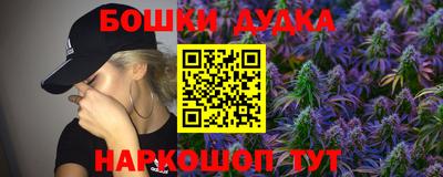 шишки Обь