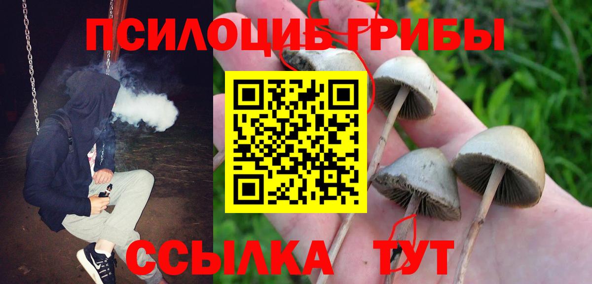 Псилоцибиновые грибы мицелий  Вход с VPN  Сызрань 